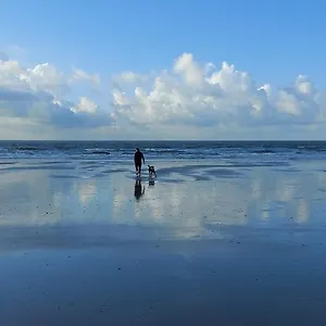 https://studio-portique.ostend-hotel.net