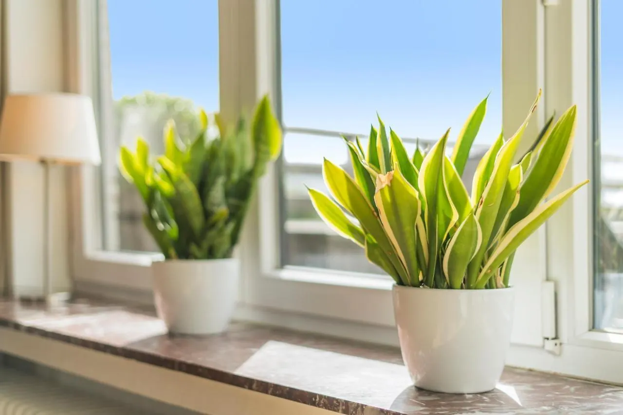 Fuths Penthouse 55 Appartement Antwerpen